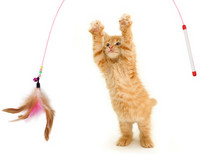 Štap za pecanje mačka igračka s perjem