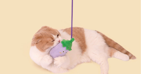Viseća igračka za mačke