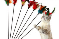 Jucărie pentru pisici cu pene colorate
