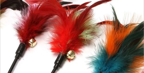 Jucărie pentru pisici cu pene colorate