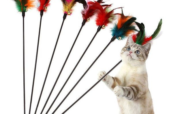 Jucărie pentru pisici cu pene colorate