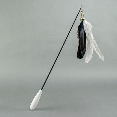 Õngeritv kassi mänguasi rippuvate sulgedega