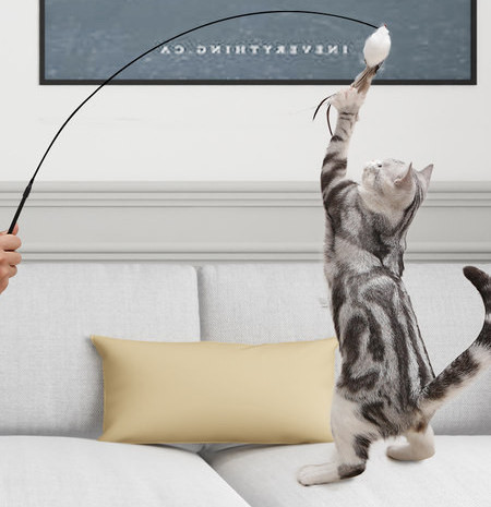 Igračka za mačke s perjem na privjesku