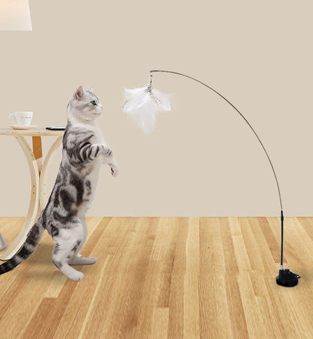 Igračka za mačke s perjem na privjesku