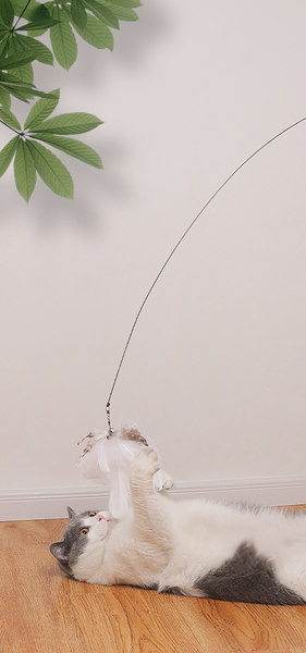 Mačka igračka zvono s perjem