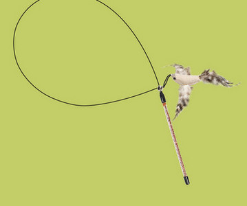 Mačka igračka zvono s perjem