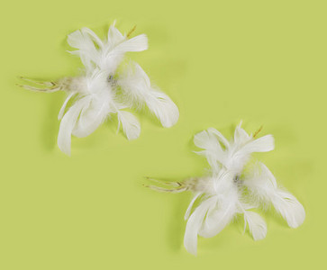 Mačka igračka zvono s perjem