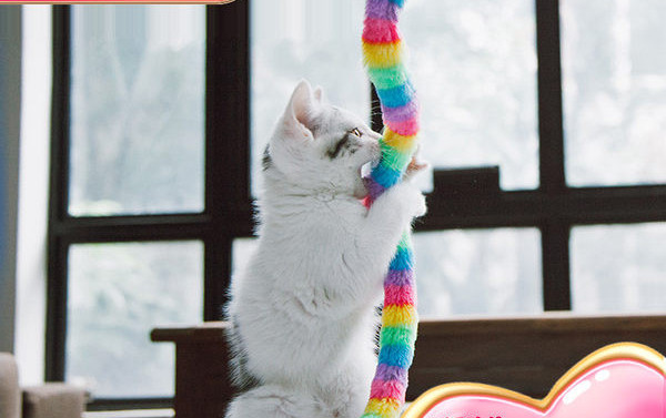 Igračka štap za pecanje za mačke nekoliko modela