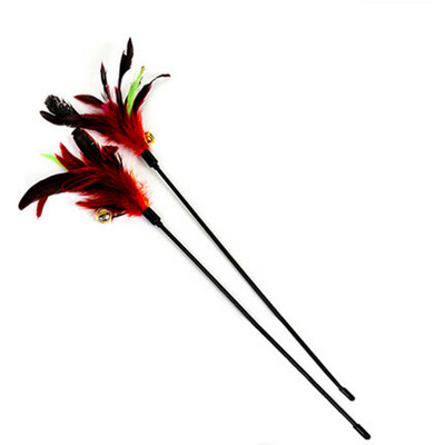 Καλάμι ψαρέματος με διαφορετικά μενταγιόν - για γάτες