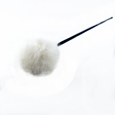 Καλάμι ψαρέματος με διαφορετικά μενταγιόν - για γάτες