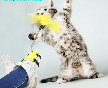 Jalgade külge kinnitatud sulgedega kassimänguasi