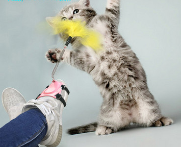 Jalgade külge kinnitatud sulgedega kassimänguasi