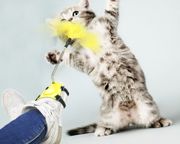 Jalgade külge kinnitatud sulgedega kassimänguasi