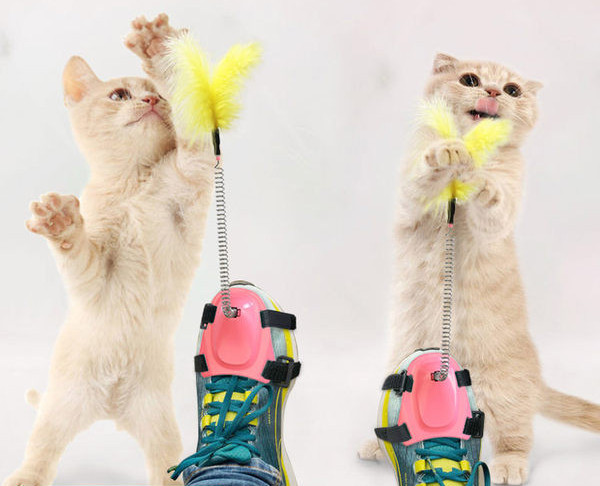 Jalgade külge kinnitatud sulgedega kassimänguasi