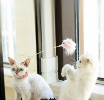 Λουρί σιλικόνης με χνούδι παιχνιδιού για γάτες