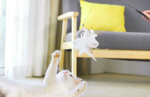 Mänguasi õngeritv - mitu mudelit