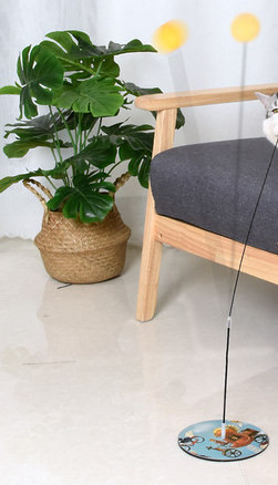 Dugi mačji štap za pecanje s lopticom