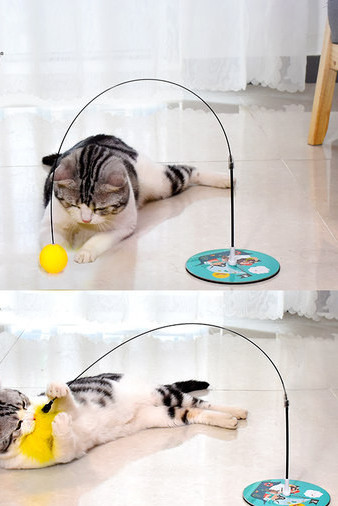 Dugi mačji štap za pecanje s lopticom