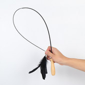 Παιχνίδι γάτας με φτερό