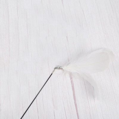 Παιχνίδι γάτας με φτερό