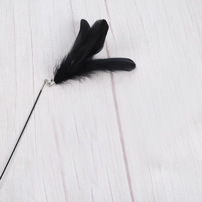 Παιχνίδι γάτας με φτερό