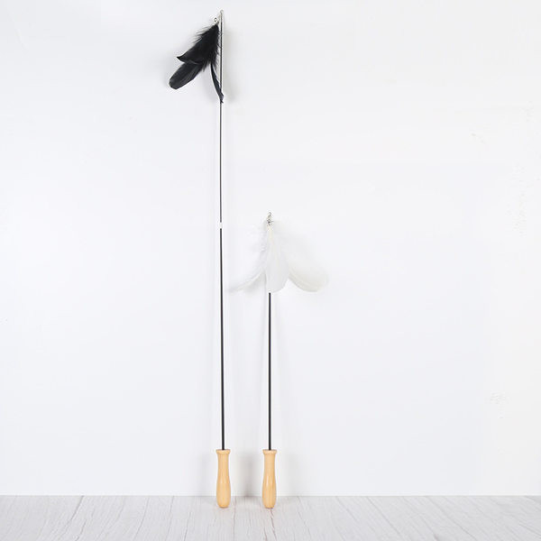 Παιχνίδι γάτας με φτερό