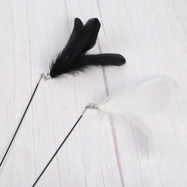 Παιχνίδι γάτας με φτερό