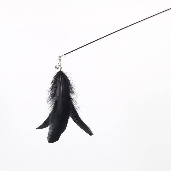 Παιχνίδι γάτας με φτερό