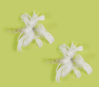 Mänguõng kassidele - mitu mudelit