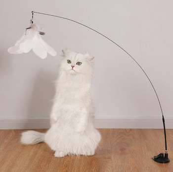 Παιχνίδι καλάμι ψαρέματος για γάτες - πολλά μοντέλα