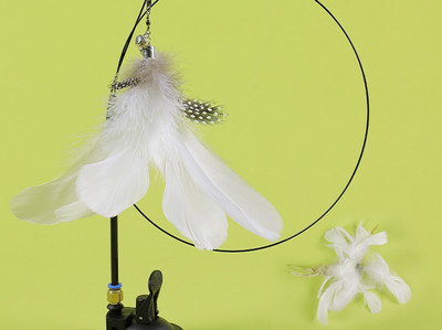 Mänguõng kassidele - mitu mudelit