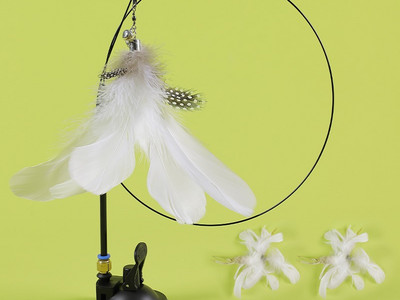 Mänguõng kassidele - mitu mudelit