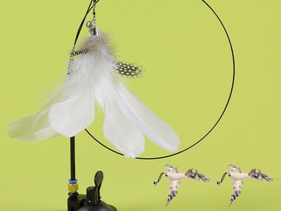 Mänguõng kassidele - mitu mudelit