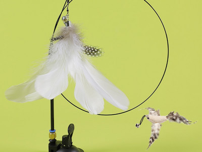 Mänguõng kassidele - mitu mudelit