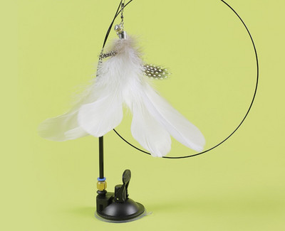 Mänguõng kassidele - mitu mudelit