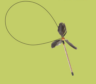 Mänguõng kassidele - mitu mudelit