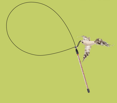 Mänguõng kassidele - mitu mudelit