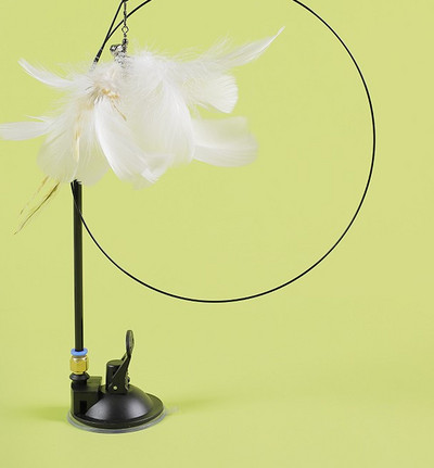 Mänguõng kassidele - mitu mudelit