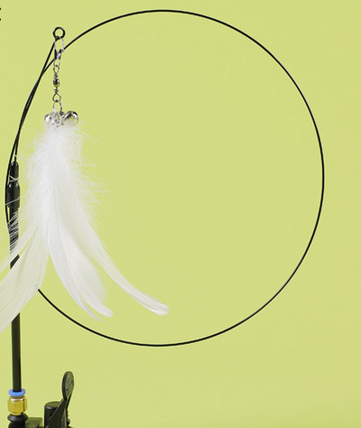 Mänguõng kassidele - mitu mudelit