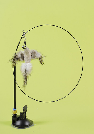 Mänguõng kassidele - mitu mudelit