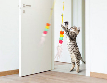 Παιχνίδι γάτας με χρωματιστό μενταγιόν