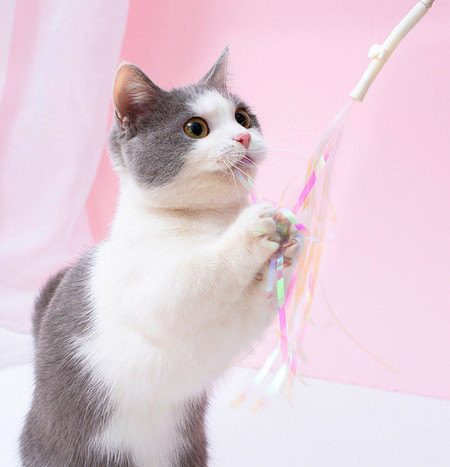 Jucărie pentru pisici cu pandantiv