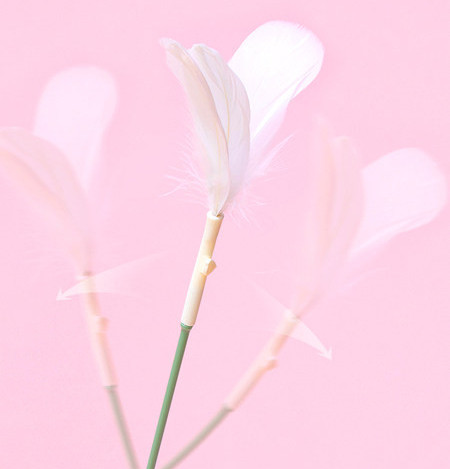 Jucărie pentru pisici cu pandantiv