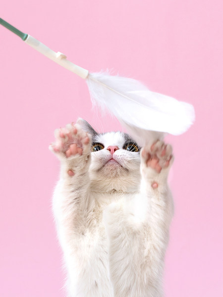 Jucărie pentru pisici cu pandantiv