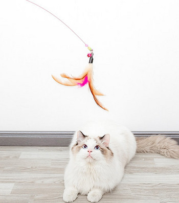 Παιχνίδι γάτας με φτερά - διαφορετικά χρώματα