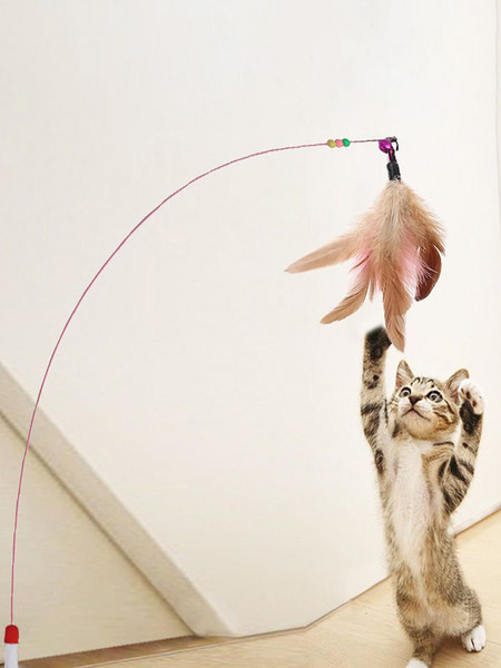 Παιχνίδι γάτας με φτερά - διαφορετικά χρώματα