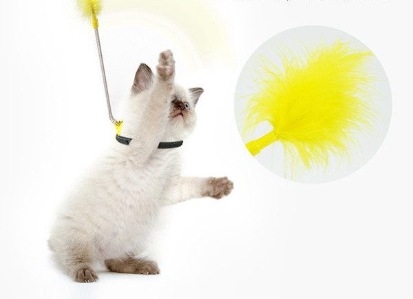 Sulega mänguasi kassidele