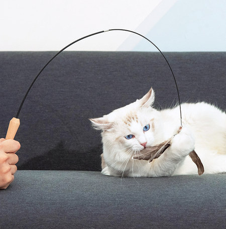 Kassivarraste mänguasi rippuvate sulgedega