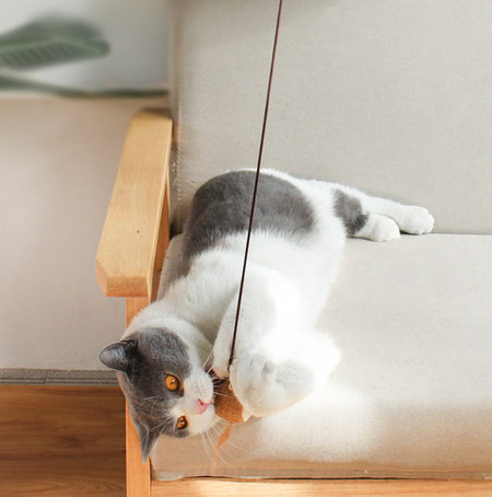 Kassi puidust õngeritv erinevate ripatsidega