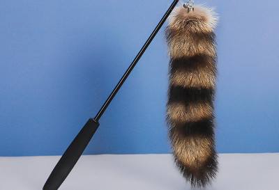 Kaķu stieņa rotaļlieta